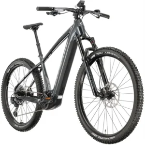 CORRATEC E-Power X-Vert Factory Elektrofahrrad